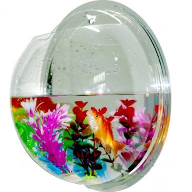 Fish Bowls Mount Bubble Aquarium Acrylic Fish Tank