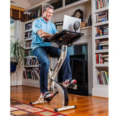 FitDesk Pedal Desk Seat Backrest