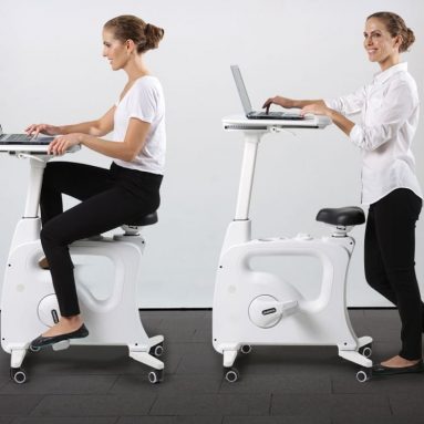 Flexispot Exercise Desk Bike