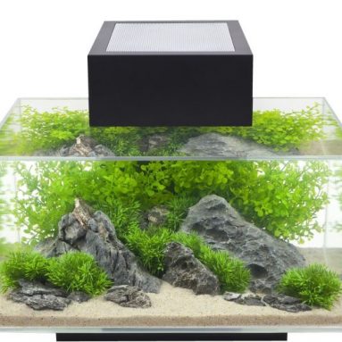 6 gallon Aquarium with 21-LED Light
