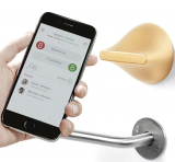 Friday Labs FLBR Lock Brass Bluetooth