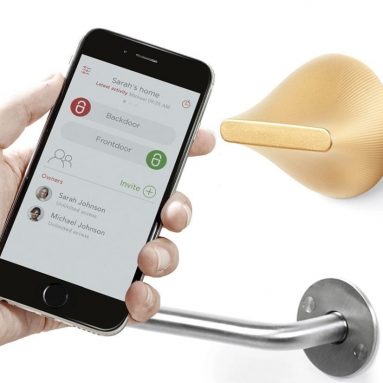 Friday Labs FLBR Lock Brass Bluetooth