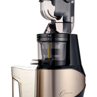 Froothie Optimum 700 Advanced Cold Press Juicer