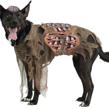 Fun World Zombie Dog Costume
