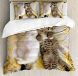 Funny Cat Duvet Cover Set