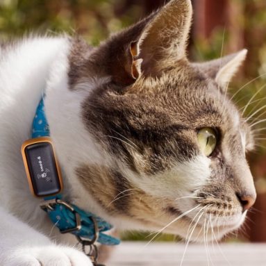 G-Paws Pet GPS Tracker
