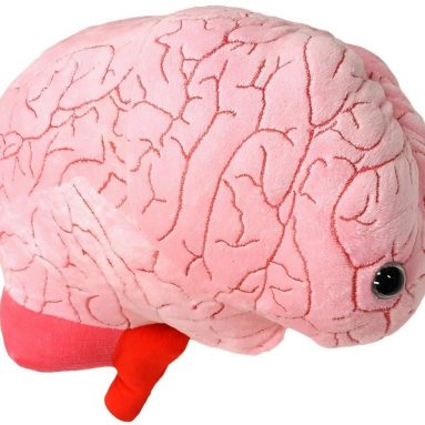 GIANTmicrobes Gigantic Brain Organ