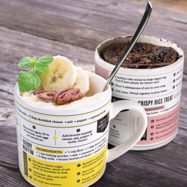 GRUB MUGS Microwave Recipe Mugs