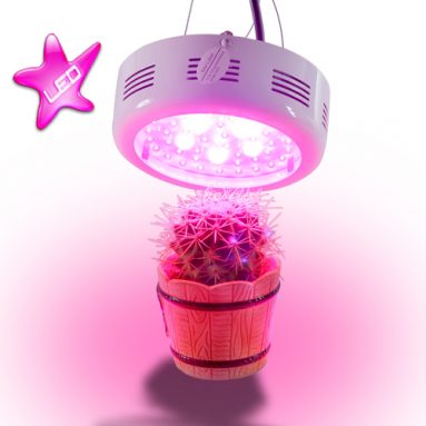 LED Grow Light