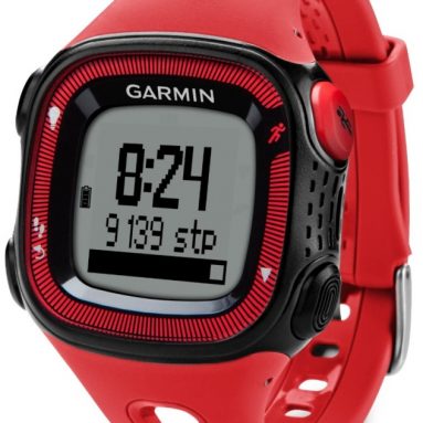 Garmin Forerunner 15 Large