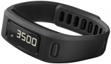 Garmin Vivofit Fitness Band