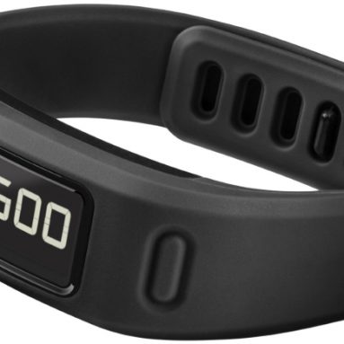 Garmin Vivofit Fitness Band