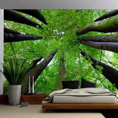 Gazing Up Into a Leafy Covered Forest