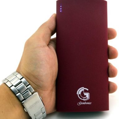 Gembonics 15000mAh Dual USB Portable Charger