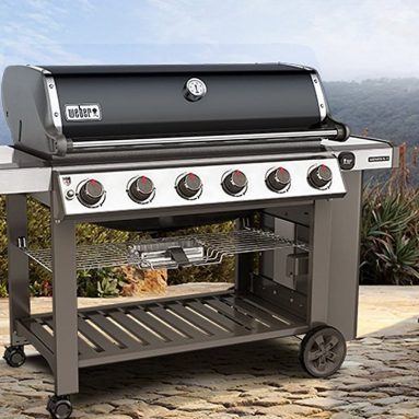 Genesis II E-610 Liquid Propane Grill