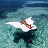 Giant Butterfly Floating Lounge Island