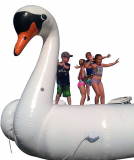 Giant Swan Summer Swimming Pool Inflatable