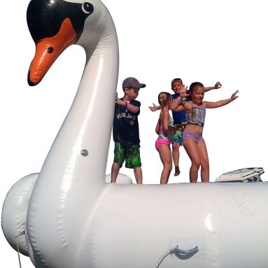 Giant Swan Summer Swimming Pool Inflatable