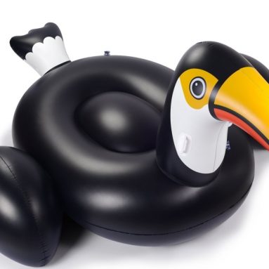 tiger anatomy model three-dimensional puzzle 4D VISION animal