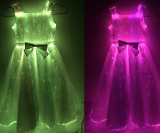 Girls Fiber Optic Light up Princess Dresses