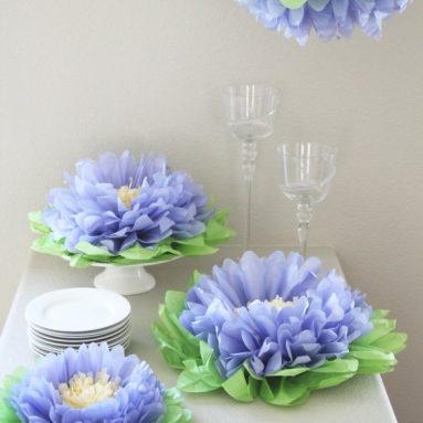 Girls Party Decorations