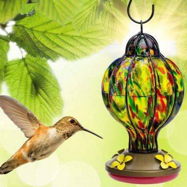 Glass Hummingbird Feeder