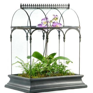 Glass Terrarium Planter Container Wardian Case