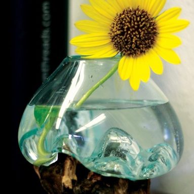 Glass and Wood Root Sculptured Terrarium  Vase  Fish Bowl