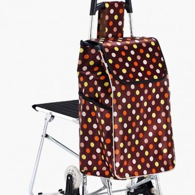 Folding shopping cart