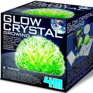 Glow in The Dark Crystal Growing Science Kit