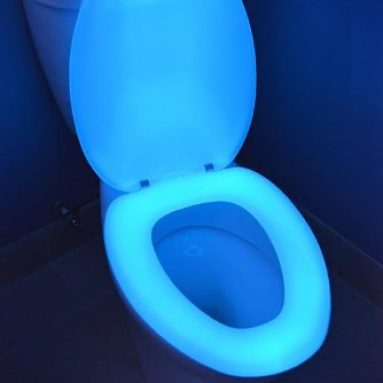 Glow in the Dark Neon Toilet Seat
