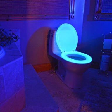 Glow in the Dark Neon Toilet Seat