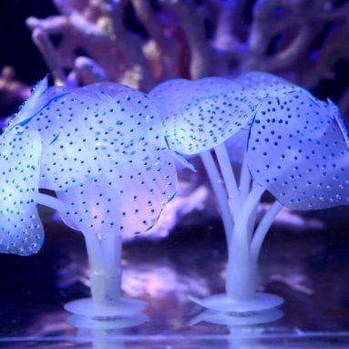 Glowing Effect Artificial Coral Plant for Fish Tank