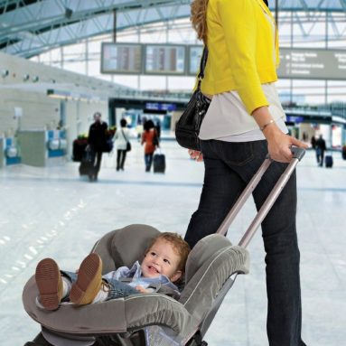 Go Car Seat Transporter