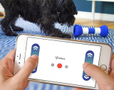 GoBone Interactive App-Enabled Smart Bone for Dogs and Puppies