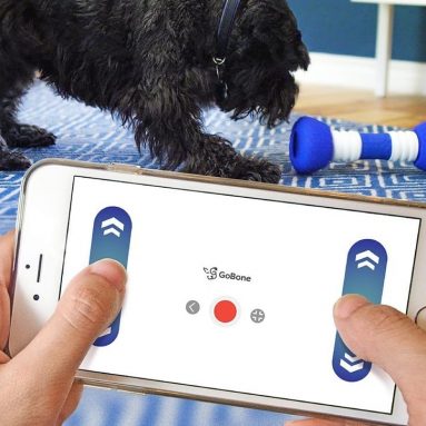 GoBone Interactive App-Enabled Smart Bone for Dogs and Puppies