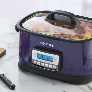 Gourmia 11 in 1 Sous Vide and Multi Cooker
