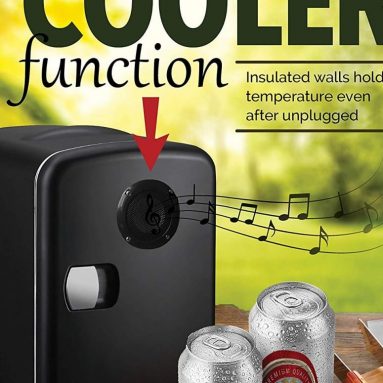Gourmia Thermoelectric Mini Fridge Cooler and Warmer with Bluetooth Speaker