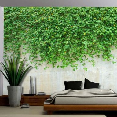 Green Vines Dropping to a Cement Wall