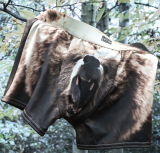 Grizzly Bear Underwear