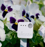 Phyode W/Me-Blue Wellness Tracker