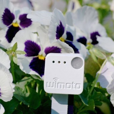 Phyode W/Me-Blue Wellness Tracker