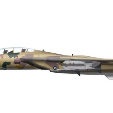 Grumman Tomcat 1/72 Die Cast Model IRIAF