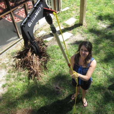 Invicta Women’s Swiss Quartz Brown Watch