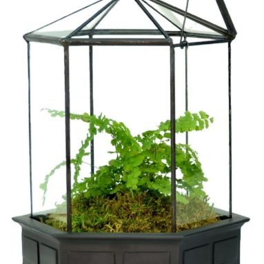Glass Terrarium Planter