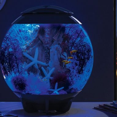 HALO Aquarium with LED Light
