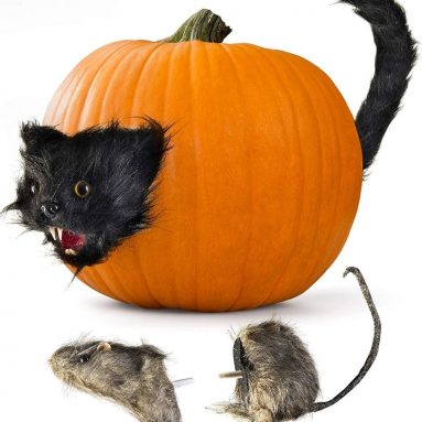 Halloween Creepy Scary Cat