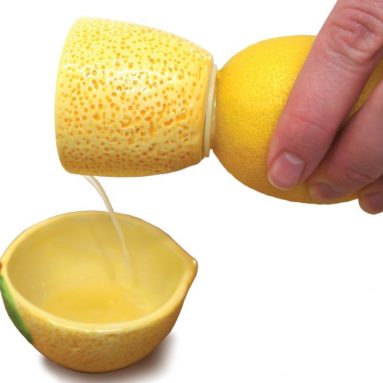 Hand Lemon Juicer