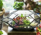 Handmade Irregular Polyhedral Geometric Glass Terrarium Planter