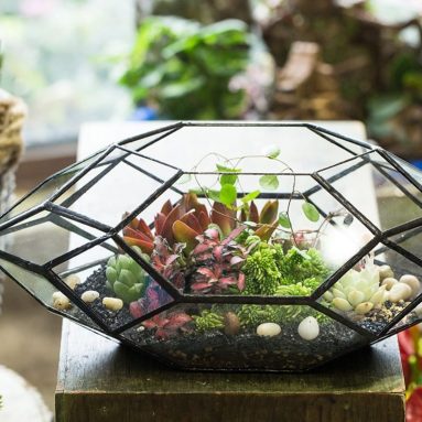 Handmade Irregular Polyhedral Geometric Glass Terrarium Planter